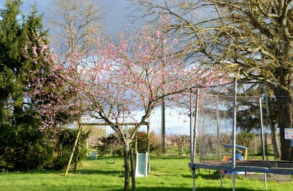 Chambres d'Hôtes La Prévôté Périssac Exterior foto